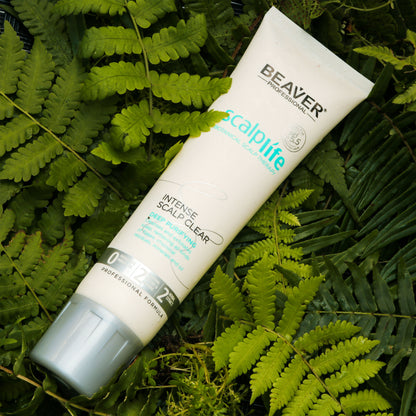 Beaver Professional Deep Purifying Intense Scalp Clear 150ml